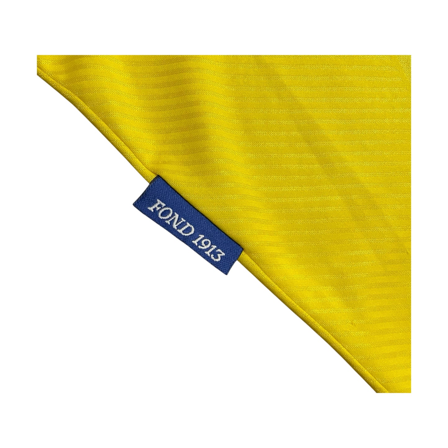 PARMA AC