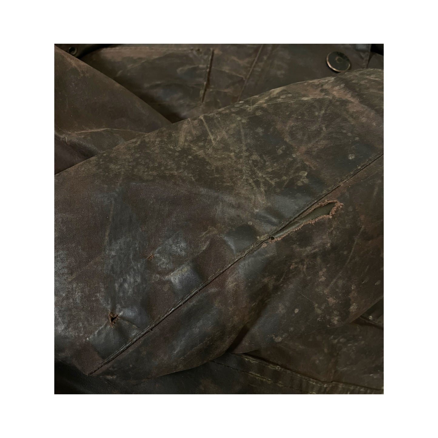 BARBOUR
